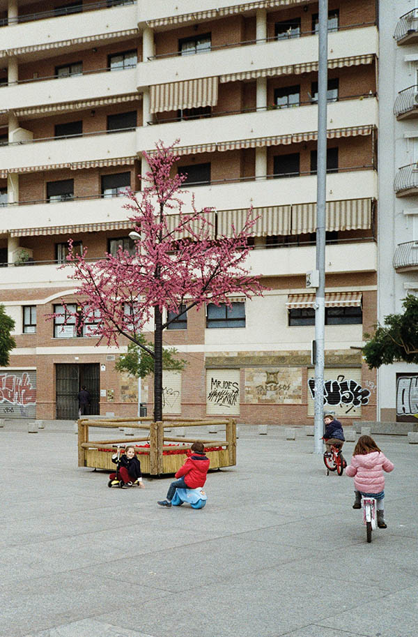 lichterwaldt lichterlow malaga flowers Spielplatz